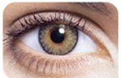 Pure Hazel Pure Hazel